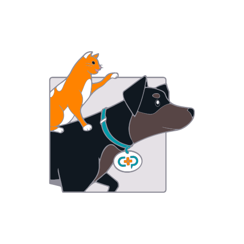 Pixel