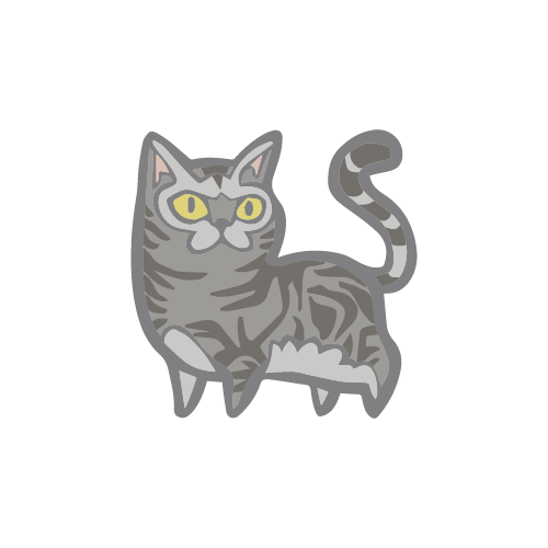 American Shorthair