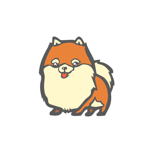 Pomeranian