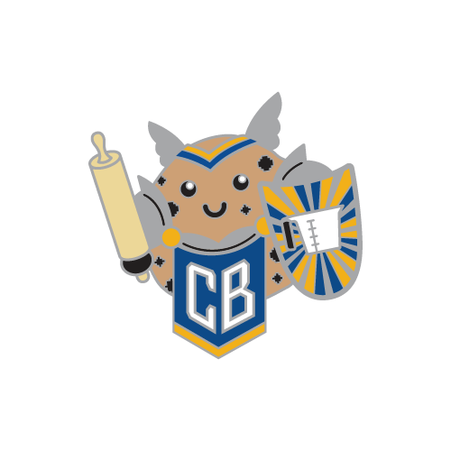 Paladin Chip