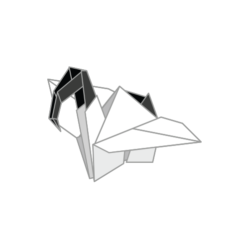 Paper Chicken
