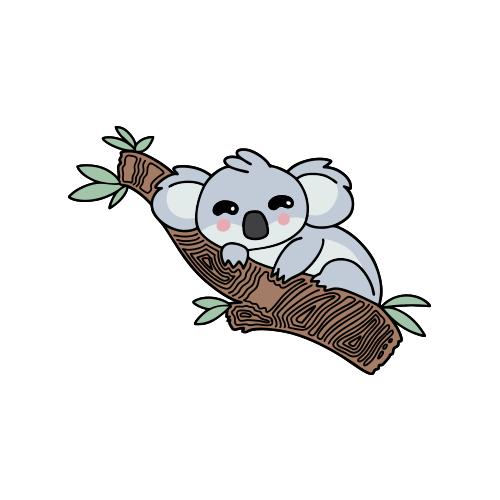 Koala Dreaming