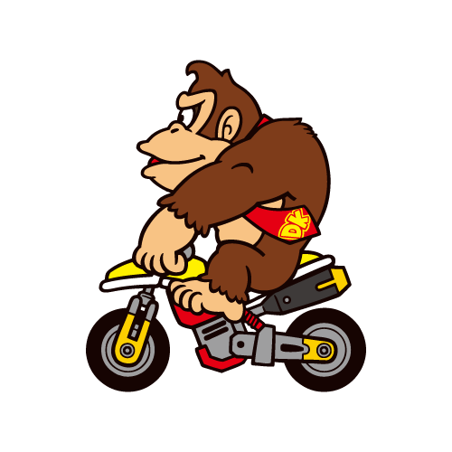 Mario Kart Donkey Kong